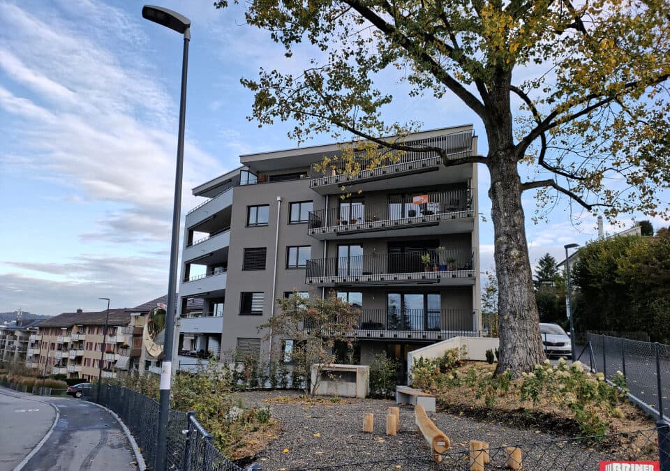 Affoltern a. A., Luckenhölzliweg 6 MFH