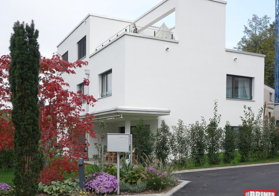 Stäfa, Geimoosstrasse (MFH + 2 EFH)